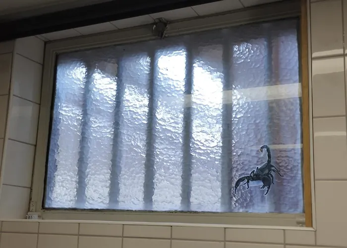 Voormalige Gevangenis Cel Bij Gezond Aan Zee - Toegang Wellnesstuin Meerprijs Oda ve Kahvaltı